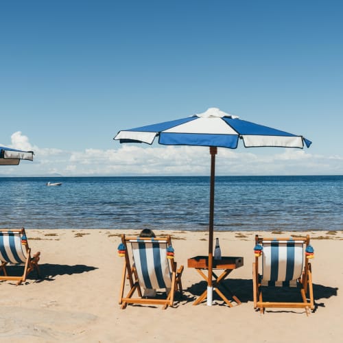 Zwei Paare blau-weiß gestreifte Strandstühle unter passenden blau-weißen Sonnenschirmen auf einem sandigen Strand mit Blick auf ein ruhiges Meer unter klarem Himmel.