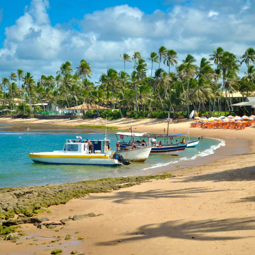 Strand mit Booten und palmengesäumtem Ufer in Praia do Forte, nahe Salvador da Bahia, Brasilien.