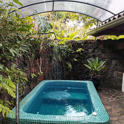 A small outdoor jacuzzi with green mosaic tiles surrounded by stone walls, tropical plants, and a transparent curved roof overhead.