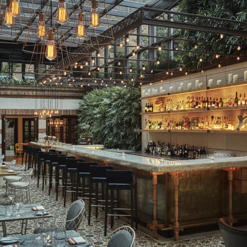 Elegante Bar mit moderner Beleuchtung und üppigem Grün in einem geräumigen, stilvollen Innenraum.