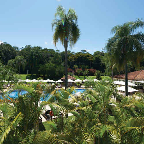 Üppiges Grün und hohe Palmen umgeben einen Swimmingpool in einem tropischen Resort in Brasilien.