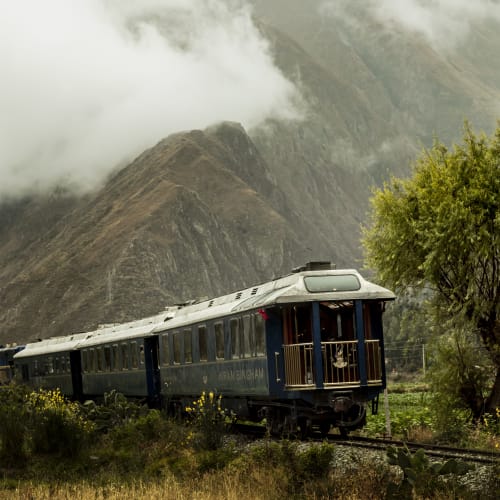 A vintage blue Hiram Bingham train traveling on tracks through a grassy field with a large tree to the right and mist-covered mountains in the background.