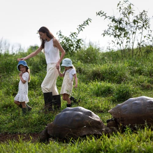 Eine Frau, die die Hände von zwei kleinen Mädchen hält, die Hüte und Stiefel tragen, während sie auf grasbedecktem Gelände in der Nähe von zwei großen Schildkröten gehen.