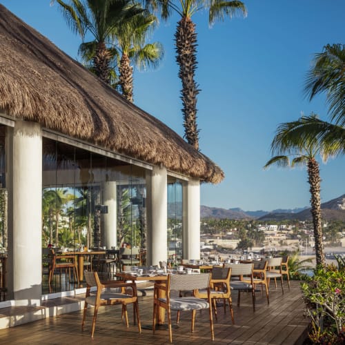 Außenterrasse im Agua Restaurant des One&Only Palmilla mit Holzmöbeln, die zum Essen gedeckt sind, umgeben von Palmen und Blick auf eine Küstenstadt und Berge unter klarem blauem Himmel.