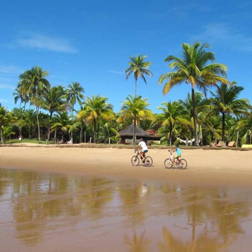 Zwei Kinder fahren mit Fahrrädern entlang eines sandy Strands mit vielen Palmen und einer strohgedeckten Hütte im Hintergrund unter einem blauen Himmel.