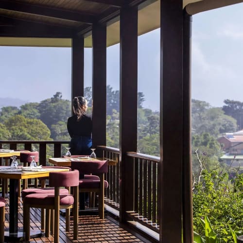 A person standing on a restaurant terrace overlooking lush green trees and distant buildings under a partly cloudy sky.