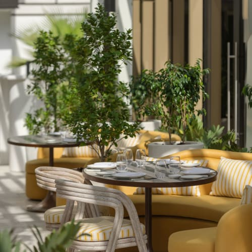 A bright, airy indoor dining area with yellow sofas, a round wooden table set with glassware and plates, and potted green plants.