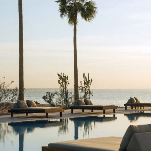 Poolside view with lounge chairs and tall palm trees overlooking the sea at sunset.