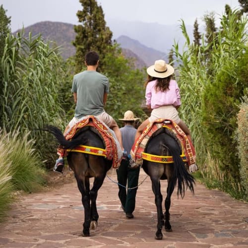 Two people riding donkeys along a path surrounded by lush green vegetation with mountains in the background.