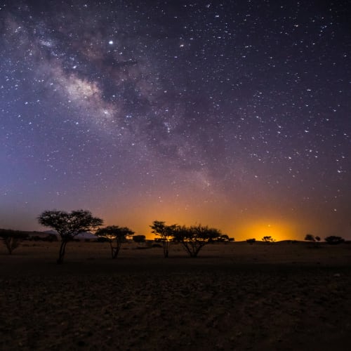 A stunning view of the starry night sky over a sparse desert landscape with silhouetted trees and a glow on the horizon.