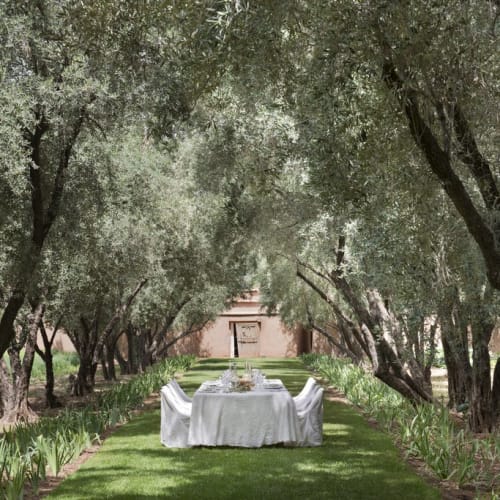 A table set for lunch in a garden pathway surrounded by trees and greenery.