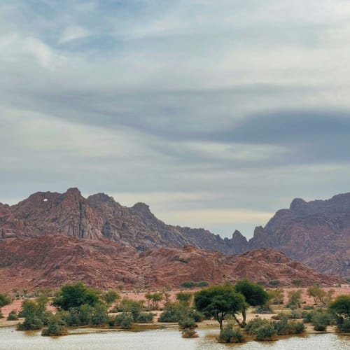 Wüstenlandschaft mit felsigen Bergen, spärlicher Vegetation und einem Wasserbassin unter bedecktem Himmel in Saudi-Arabien.