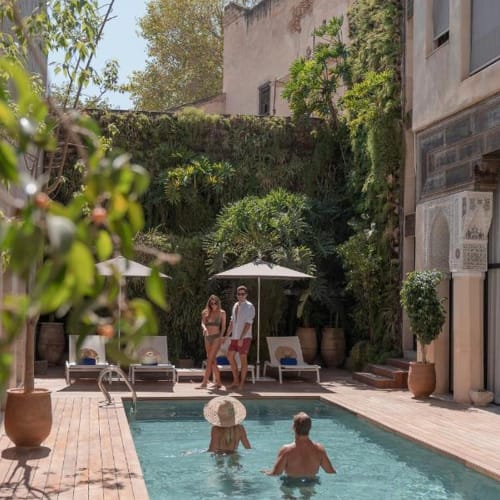 A small swimming pool in a sunlit courtyard surrounded by greenery and potted plants, with two people swimming and four people standing nearby under an umbrella.