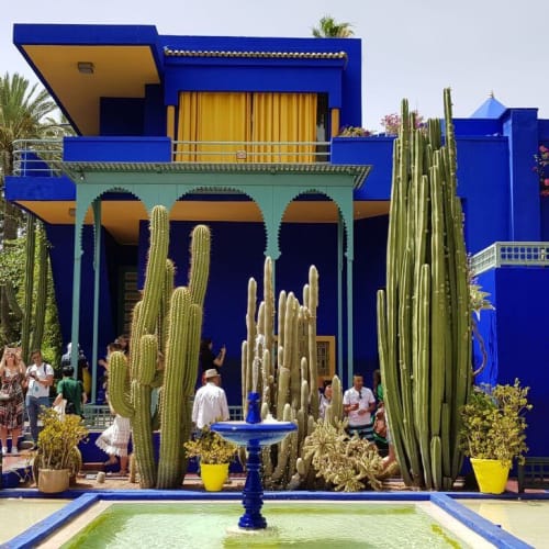 Ein buntes, modernes Gebäude mit blauen Wänden und gelben Akzenten, umgeben von hohen Kakteen und üppigem Grün in einem Garten.