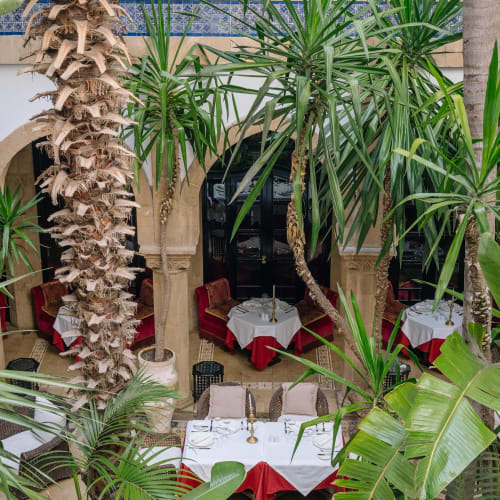 An elegant restaurant with white tablecloths and red accents, surrounded by lush green tropical plants in a luxurious indoor setting.
