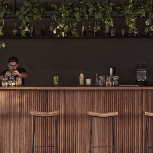 A bartender preparing drinks behind a wooden bar counter with four empty stools in a dimly lit setting featuring hanging green plants and bottles on shelves.