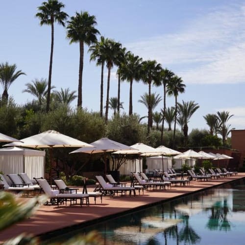 A luxurious poolside scene with multiple sunbeds and umbrellas, surrounded by tall palm trees in a resort setting.