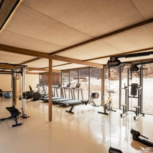 Ein modernes Fitnessstudio mit verschiedenen Trainingsgeräten, darunter Weight Machines, Laufbänder, Fahrräder und Freihanteln, in der Nähe großer Glasfenster mit Blick auf eine felsige Außenlandschaft.