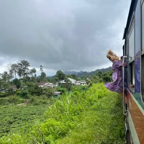 A young woman in a purple dress leans out of the window of a moving train on a lush, green hillside.