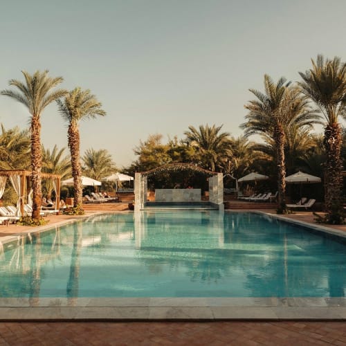 Ein luxuriöser Poolbereich in einem Resort, umgeben von hoch wachsenden Palmen und Liegestühlen.
