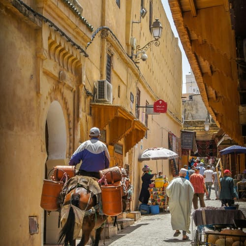 A narrow street in an old city with people walking and a man riding a donkey carrying barrels.