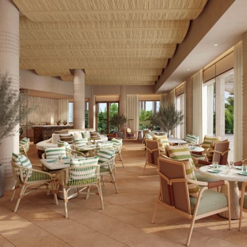 Elegant dining area with large windows, tropical plants, and stylish chairs and tables in a modern hotel setting.