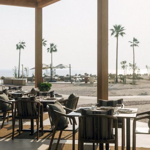 Outdoor dining area of a restaurant near a beach, with tables set for guests and palm trees in the background.