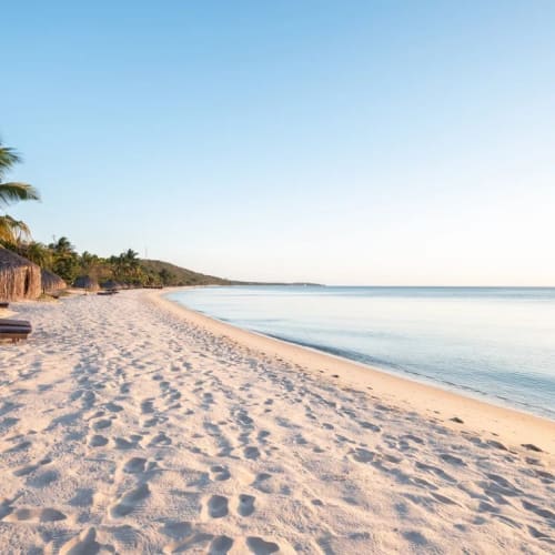 A tranquil sandy beach in Mozambique with palm trees, thatched umbrellas, and calm ocean waters under a clear sky.