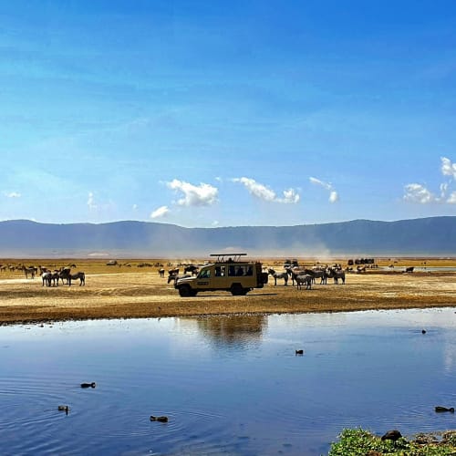 Tanzanian landscape with a water body, grazing animals, and a vehicle at the Ngorongoro Crater with mountains in the background.