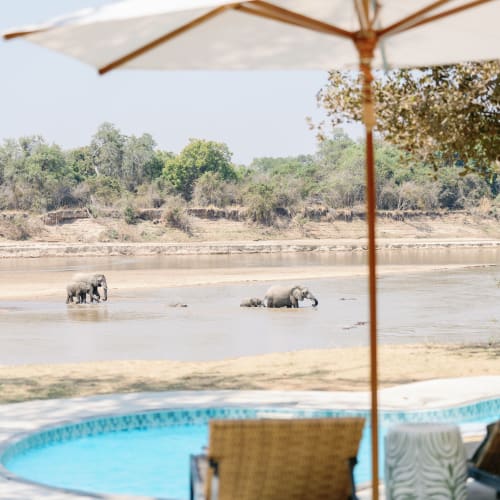 Two elephants wade through a river near a natural landscape, with a swimming pool and outdoor seating in the foreground.