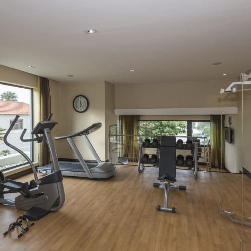 A spacious home gym with large windows, featuring cardio equipment like a treadmill and elliptical, weight racks with dumbbells, an exercise bench, and wall-mounted workout accessories.