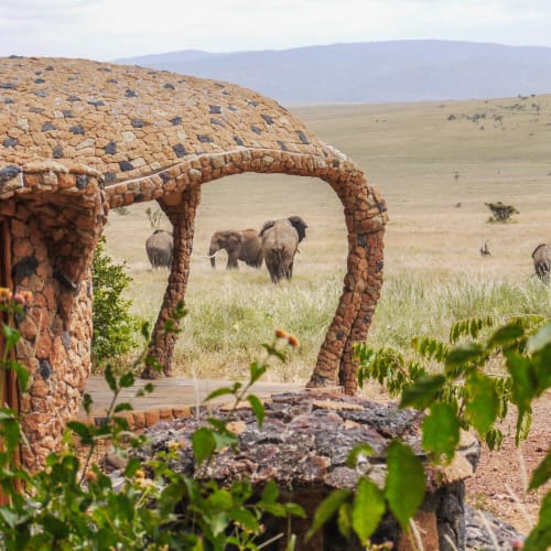 A unique stone house with a rounded roof and wooden door, surrounded by greenery, with elephants visible in the distance on the open plains.