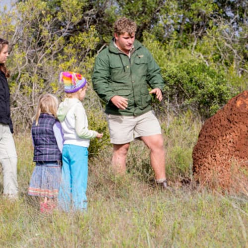 Ein Mann erklärt einer Gruppe von drei Kindern, die auf einer Wiese stehen, etwas über ein großes rotes Gestein.