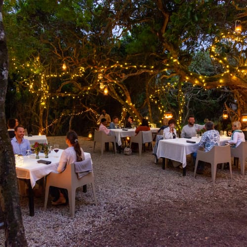 Abendessen im Freien unter einem Baum mit Lichterketten und Laternen, mehrere Paare sitzen an gedeckten Tischen auf einem steinigen Boden.