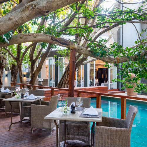 An outdoor dining area beside a swimming pool with tables and chairs under large tree branches providing shade.