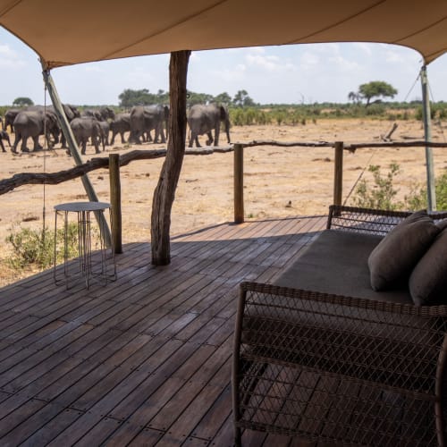 A veranda at Somalisa Camp in Zimbabwe with elephants in the distance, featuring wooden flooring, a shade canopy, and outdoor furniture.