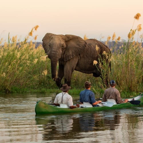 Three people in a canoe observing an elephant in a river at sunset, with tall grasses and a distant horizon.