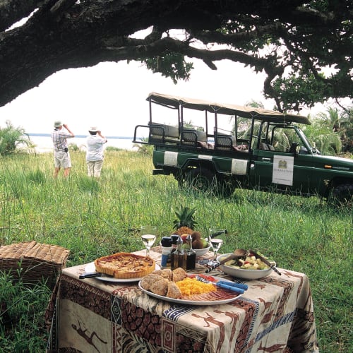 A picnic setup with various dishes on a table under a large tree, with a green off-road vehicle and two people in the background overlooking a scenic landscape.