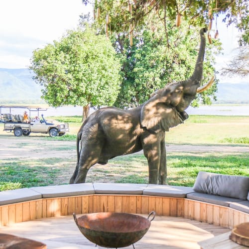 An elephant is reaching up to a tree in a grassy area with water in the background, seen from a circular outdoor seating area.