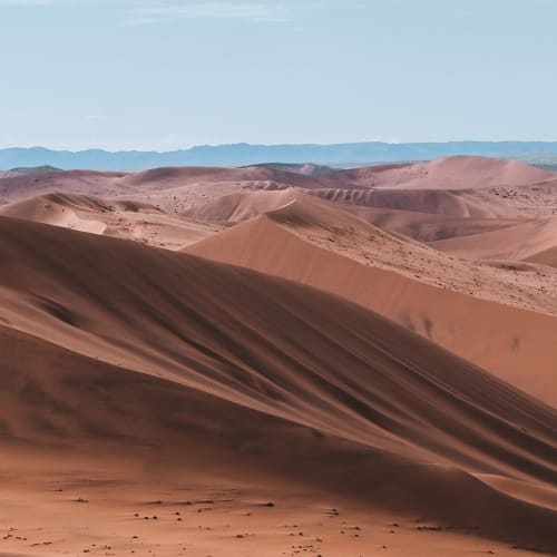A vast desert landscape with rolling sand dunes under a clear blue sky in Namibia.