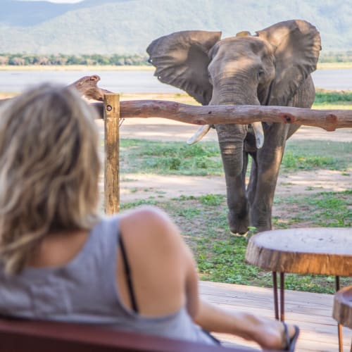 A woman sitting on a veranda observes an elephant behind a wooden fence at a wildlife reserve.