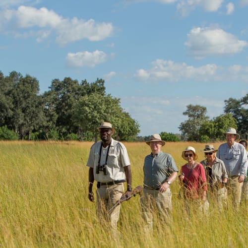 Eine Gruppe von Touristen auf einer Wandersafari durch ein grasbewachsenes Feld in Botswana mit Bäumen und einem teilweise bewölkten Himmel