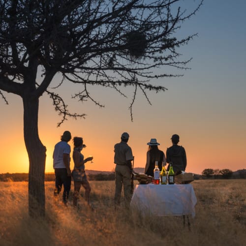Eine Gruppe von fünf Personen macht ein Sonnenuntergang-Picknick in der afrikanischen Savanne unter einem großen Baum.