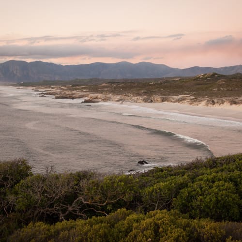 Küstenstrand mit sanften Wellen, die am Ufer brechen, üppige grüne Vegetation im Vordergrund und eine Bergkette in der Ferne unter einem sanften pastellfarbenen Abendhimmel.