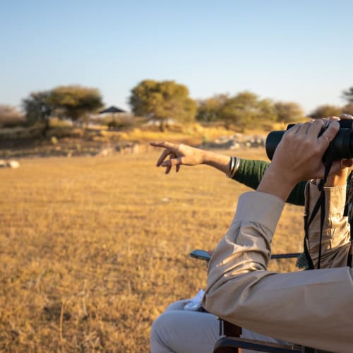 A woman with binoculars, scanning for animals in an open savanna as the sun illuminates the sky.