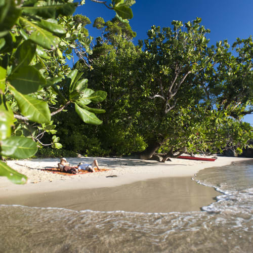 A person relaxing on a sandy beach under lush green trees with a clear blue sky above.