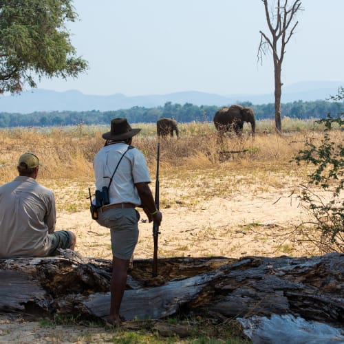 Two safari guides observe elephants in the distance across a dry plain, with one standing and the other sitting under a tree in Zimbabwe.