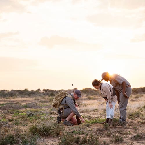 Three people, a guide with a backpack and two guests, examining animal tracks on the ground in a vast, open landscape at sunset.