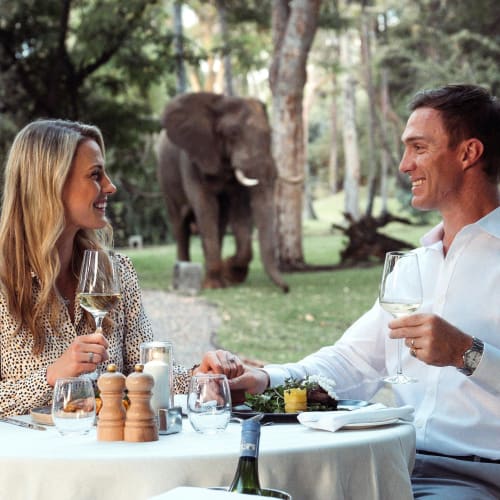 A man and woman enjoying dinner at a table outdoors in a natural setting, with an elephant visible in the background.