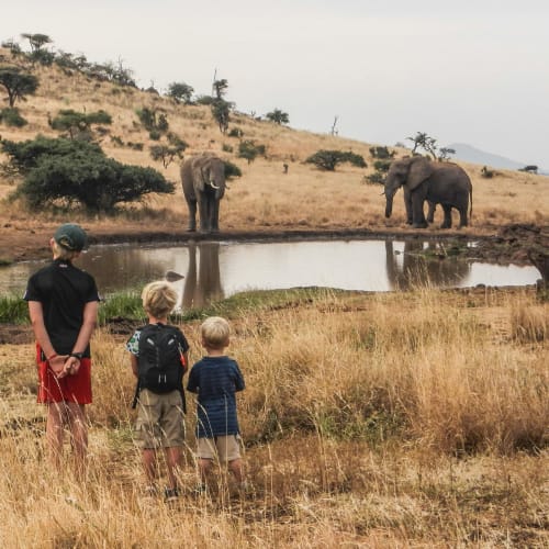 Group of people, including children, observing elephants near a waterhole in a savannah landscape.